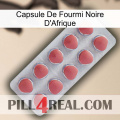 Africa Black Ant Capsule 18